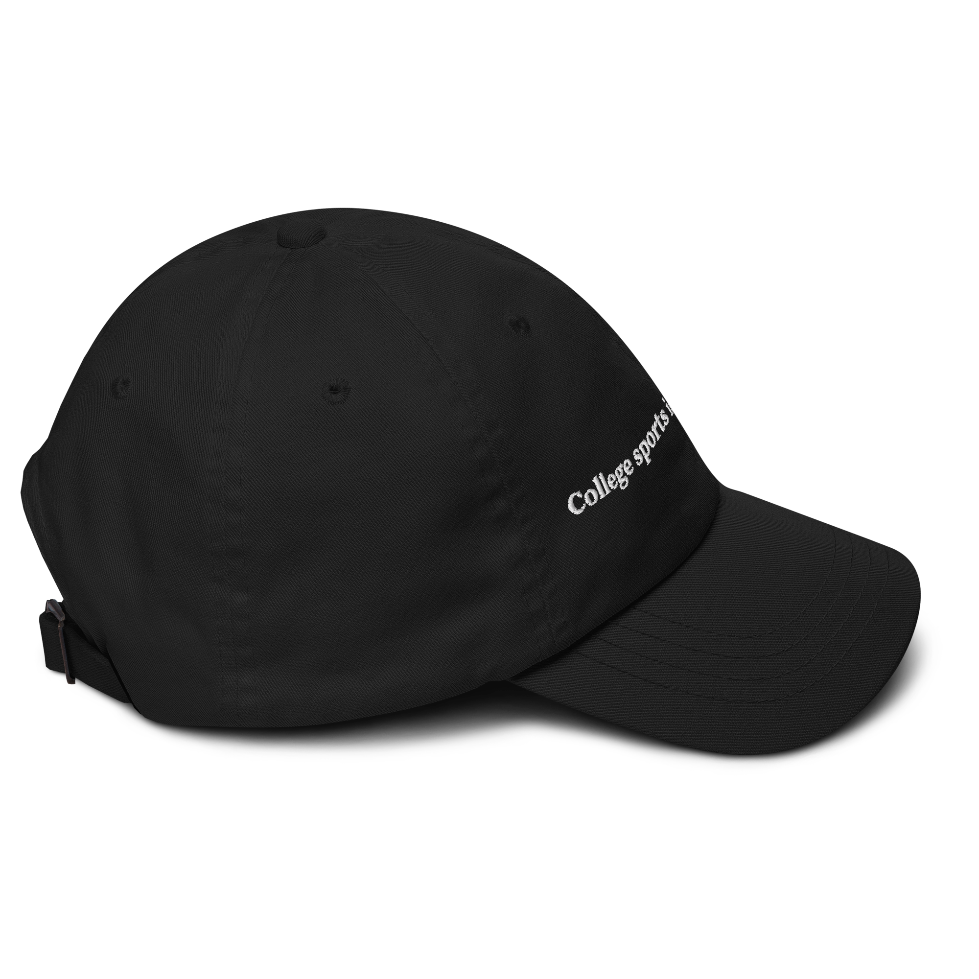 College sports is big business. Hat